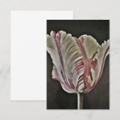 Tulp (Voorkant / Achterkant)