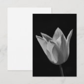 Tulp Bedankkaart (Voorkant / Achterkant)