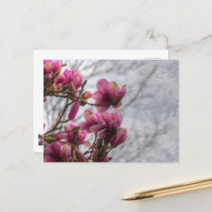 Tulp Blanzend Briefkaart
