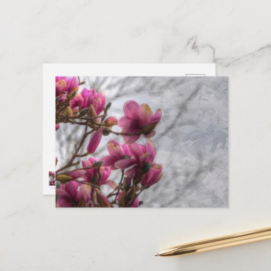 Tulp Blanzend Briefkaart (Voorkant / Achterkant in situ)