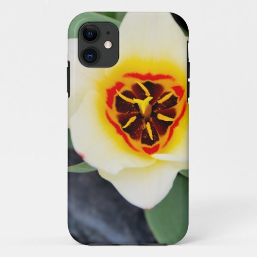 Tulp bloem Case-Mate iPhone case (Achterkant)