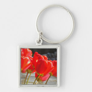 Tulp Bloemen sleutelhanger Rode Tulpen sleutelhang