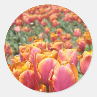 Tulp Bloemen stickers Envelope zegels Lente