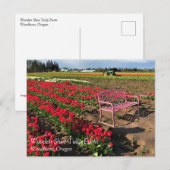 Tulp-Boerderij in het Briefkaart Oregon (Voorkant / Achterkant)