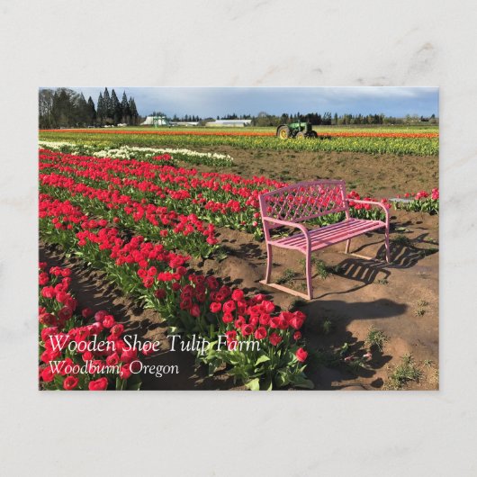 Tulp-Boerderij in het Briefkaart Oregon (Voorkant)
