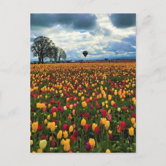 Tulp-Boerderij in Oregon Briefkaart (Voorkant)