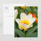 Tulp Briefkaart (Voorkant / Achterkant)