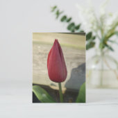 Tulp Briefkaart (Staand voorkant)