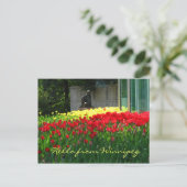 Tulp Briefkaart (Staand voorkant)