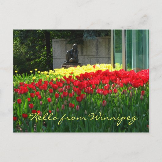 Tulp Briefkaart (Voorkant)
