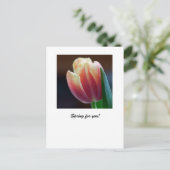 Tulp Briefkaart (Staand voorkant)