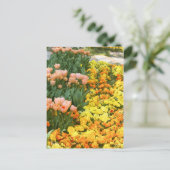 Tulp [Briefkaart] Briefkaart (Staand voorkant)