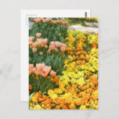 Tulp [Briefkaart] Briefkaart (Voorkant / Achterkant)