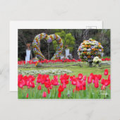 Tulp [Briefkaart] Briefkaart (Voorkant / Achterkant)