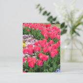 Tulp [Briefkaart] Briefkaart (Staand voorkant)