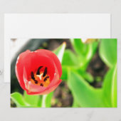 Tulp Briefpapier (Voorkant / Achterkant)