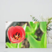 Tulp Briefpapier (Staand voorkant)