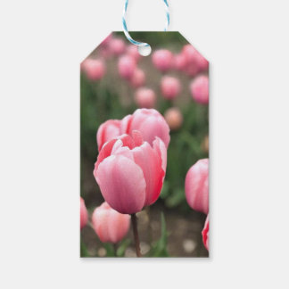 TULP CADEAU LABELS CADEAULABEL