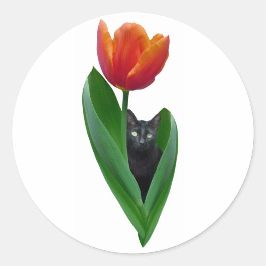 Tulp Cat Sticker (Voorkant)