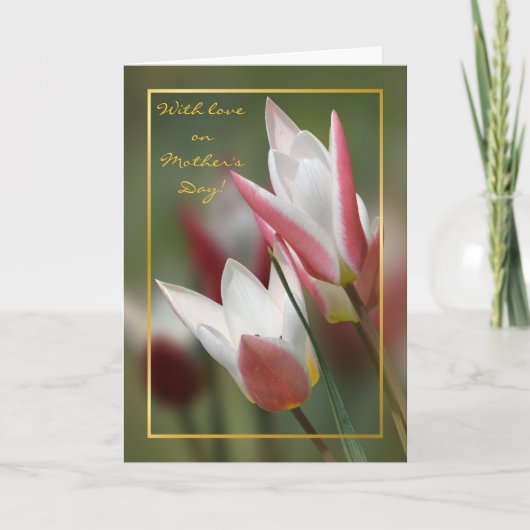 tulp de Moederdag van Dame Jane Kaart (Voorkant)