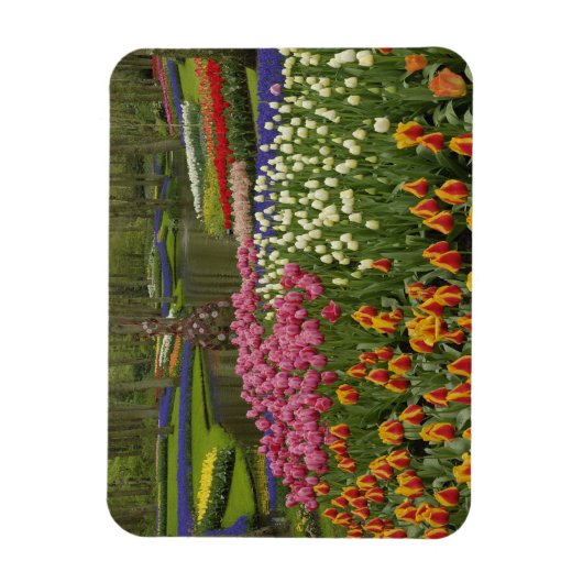 Tulp- en hyacintuinen, Keukenhof Tuinen, Magneet (Verticaal)