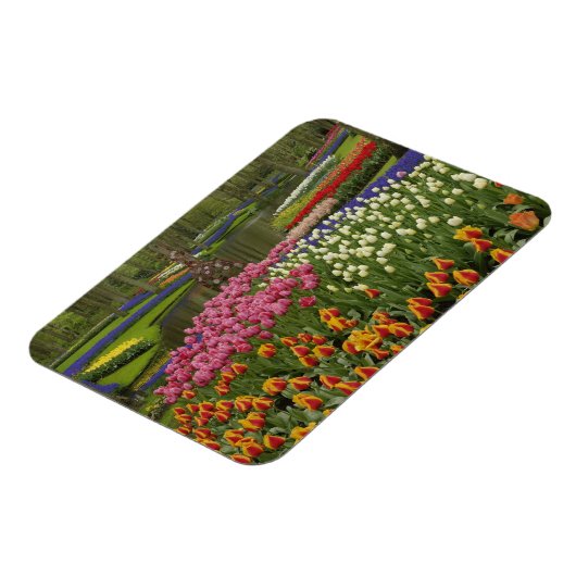 Tulp- en hyacintuinen, Keukenhof Tuinen, Magneet (Linkerzijde)