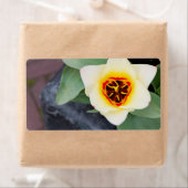 Tulp Etiket (Insitu)