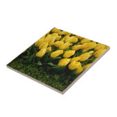 Tulp Festival - 27 Tile Tegeltje (Zijkant)