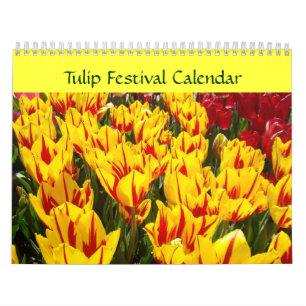 Tulp Festival Kalender Kleurrijke Tulpen Bloem