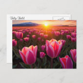 Tulp Field Briefkaart (Voorkant / Achterkant)