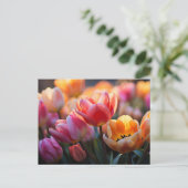 Tulp Field Briefkaart (Staand voorkant)
