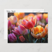 Tulp Field Briefkaart (Voorkant / Achterkant)