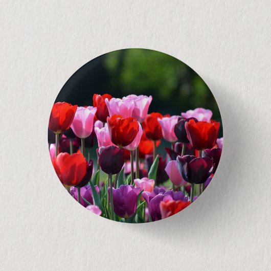 Tulp Flowers Badge/Button Ronde Button 3,2 Cm (Voorkant)