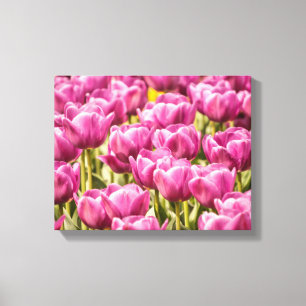 Tulp Flowers in de lentesfoto Canvas Afdruk