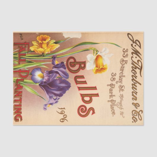  Tulp Flowers Seed Pack Tissuepapier (Voorkant)