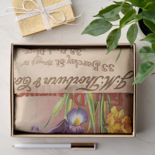  Tulp Flowers Seed Pack Tissuepapier (Geschenk)