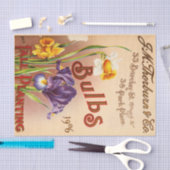  Tulp Flowers Seed Pack Tissuepapier (Craft)