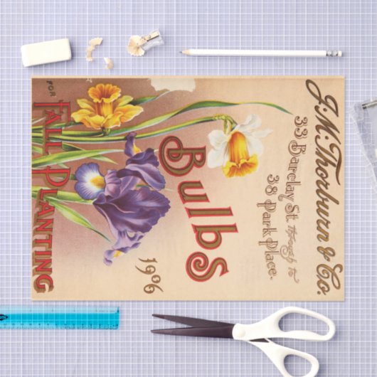  Tulp Flowers Seed Pack Tissuepapier (Craft)