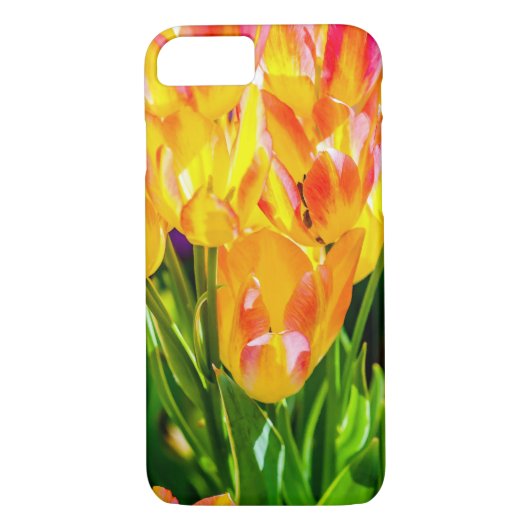 Tulp Flowers - Vlaanderen Case-Mate iPhone Case (Achterkant)
