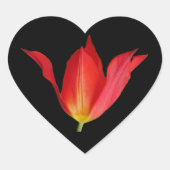 Tulp Hart Sticker (Voorkant)