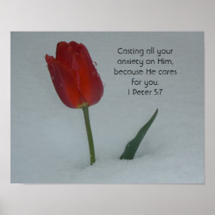 Tulp in de sneeuw poster