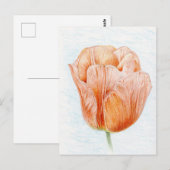 Tulp in prachtige kleurenweergave briefkaart (Voorkant / Achterkant)
