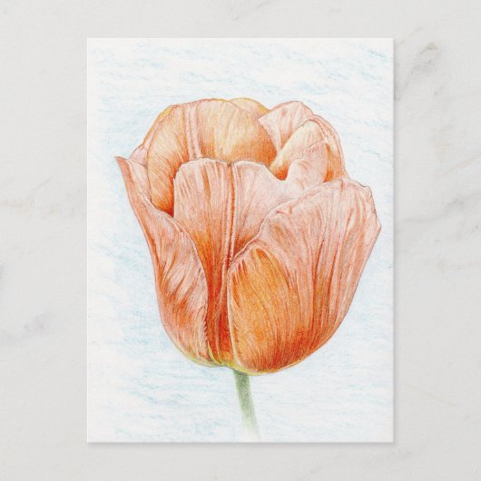 Tulp in prachtige kleurenweergave briefkaart (Voorkant)