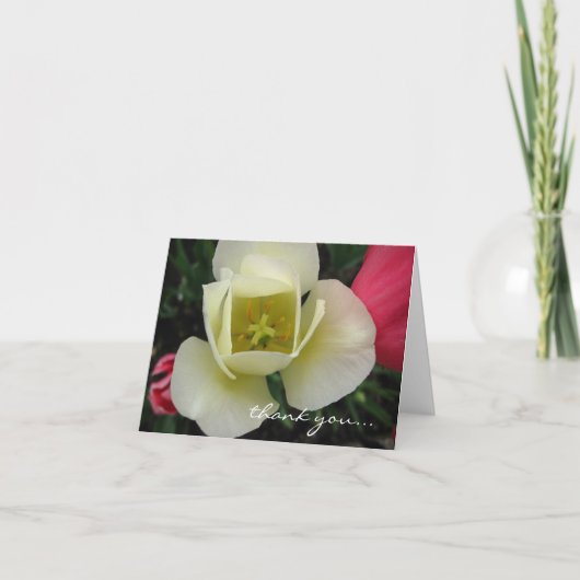  tulp Kaart (Voorkant)