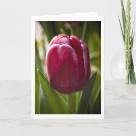 Tulp Kaart (Voorkant)