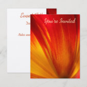 Tulp Kaart (Voorkant / Achterkant)