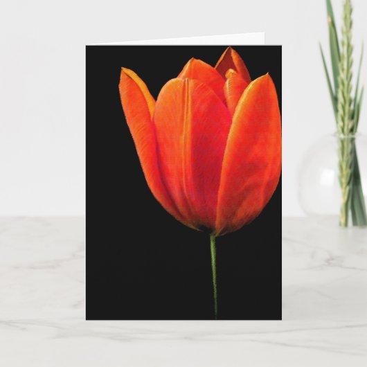 Tulp Kaart (Voorkant)