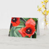 Tulp, kaart (Gele Bloem)
