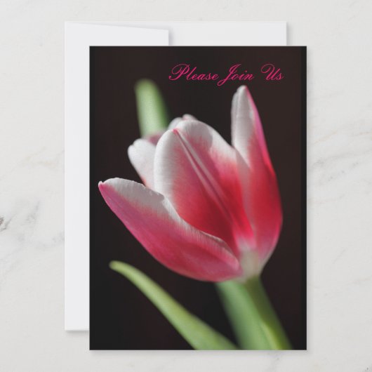 Tulp Kaart (Voorkant)