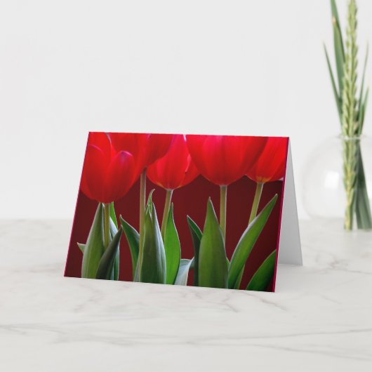 Tulp Kaart 2 (Voorkant)